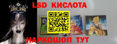 крисы Пенза