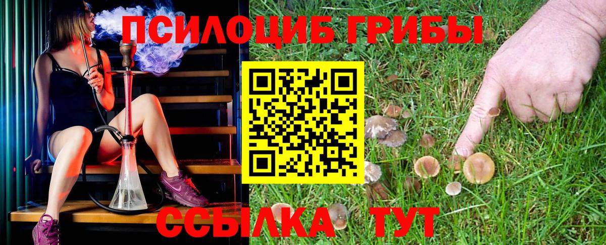 Галлюциногенные грибы Magic Shrooms  Псилоцибиновые грибы мицелий  где продают наркотики  Вход с VPN  Семёнов 